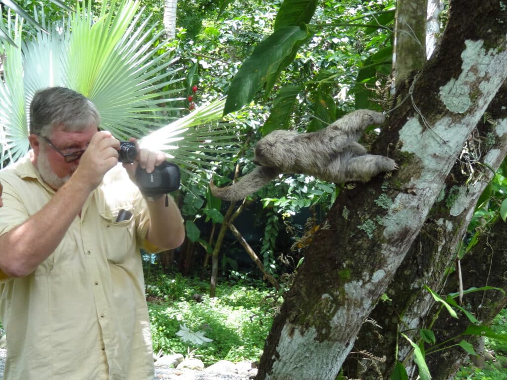 Guest taking photos of a sloth at DBH